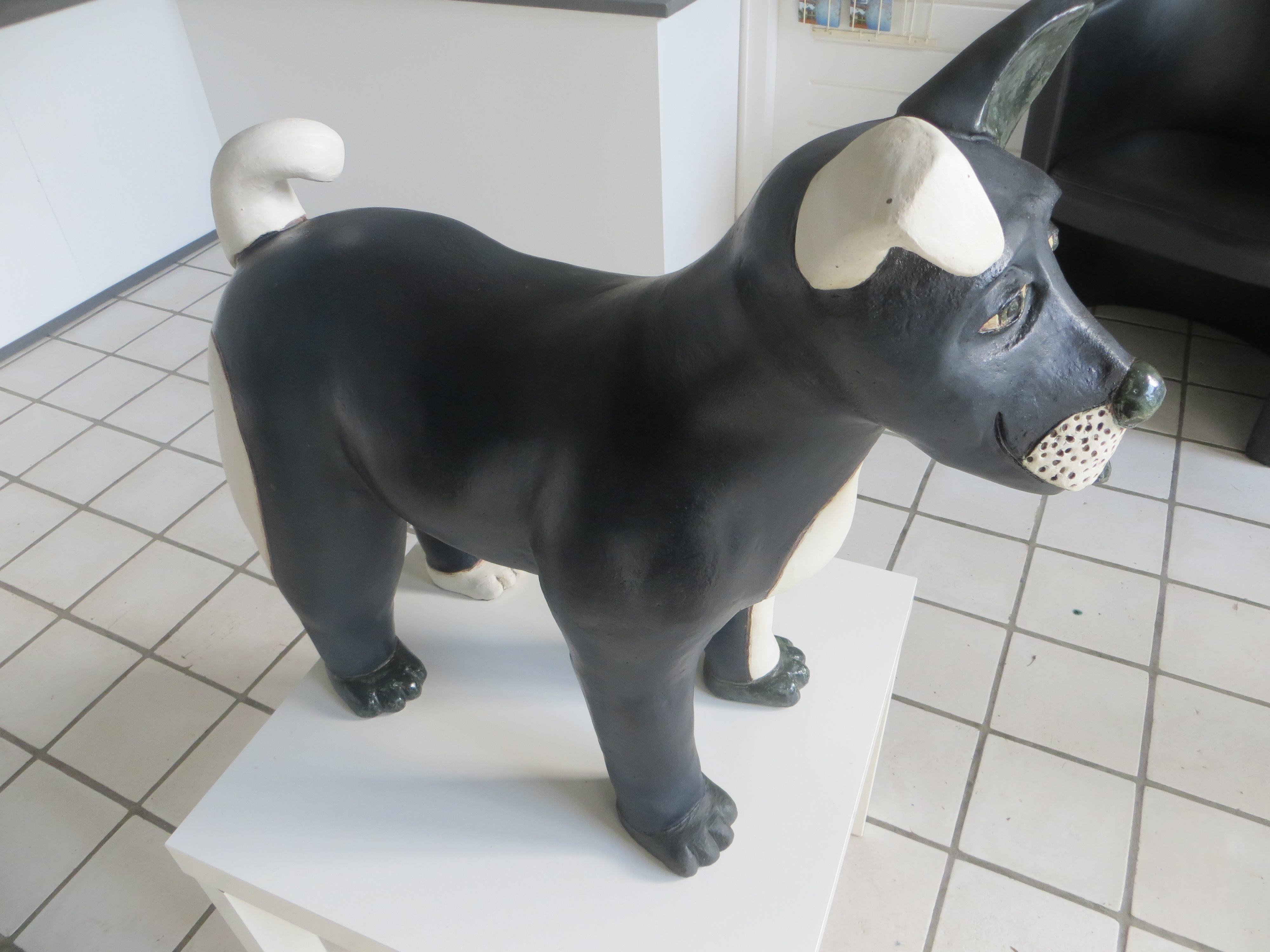 Hond